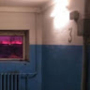 Meet your Posher, Lou